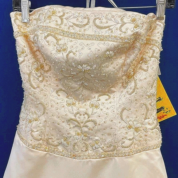 New!!! Tags!!ALFRED ANGELO 'MARGE MOONLIGHT' EMBROIDERED COLLECTION Sz 10 A Line - Picture 4 of 17